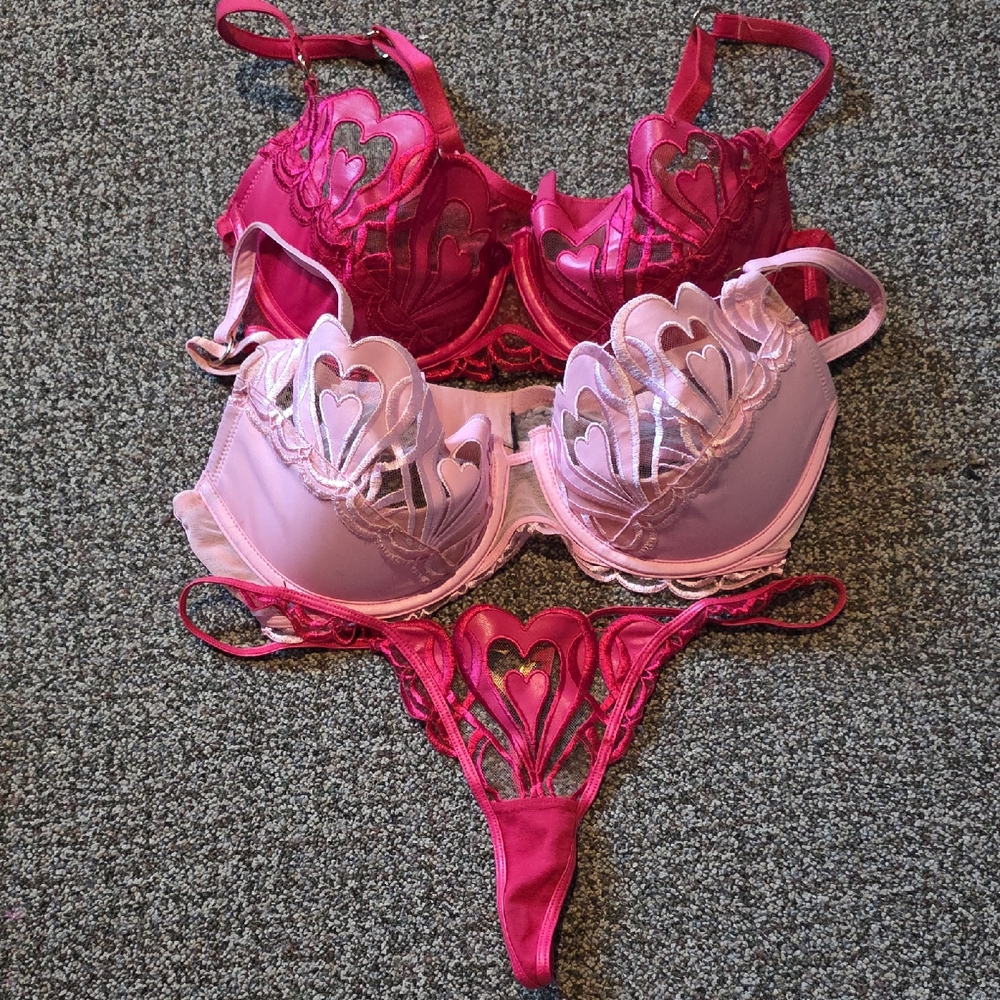 Rare Honey Birdette Heart Lace Lingerie Set - Pink and Red